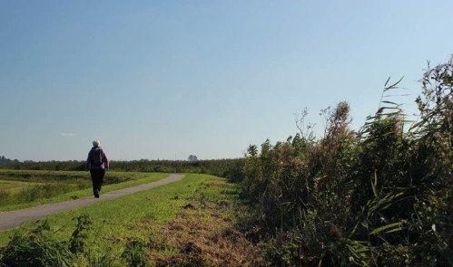 Hiking route Friesland